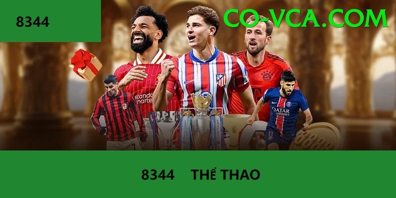 Cá Cược Thể Thao - Trải nghiệm tuyệt vời